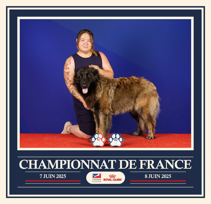 CH. Abigaelle da casa redonda