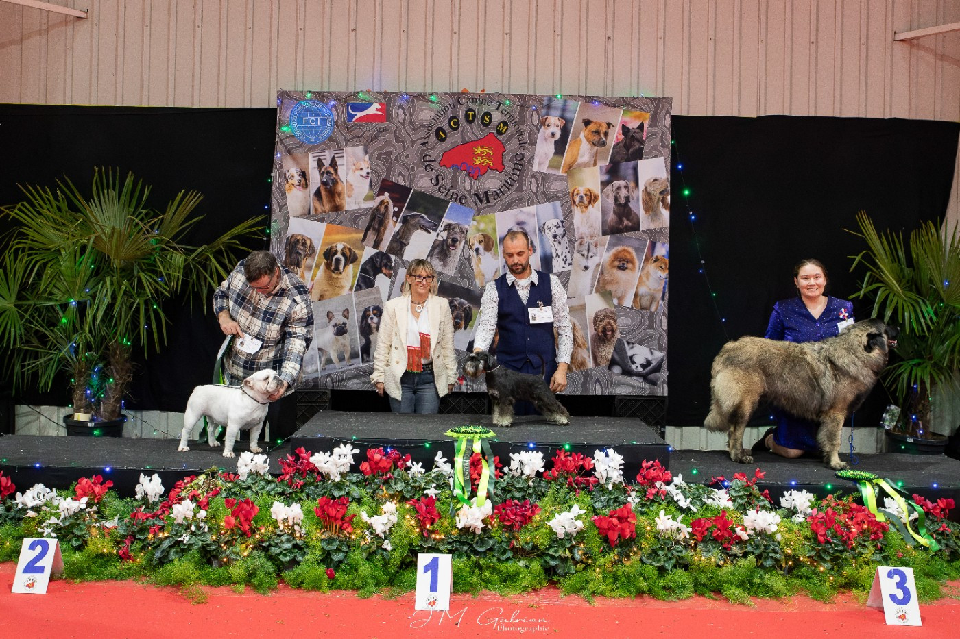 Arès da quinta moinhos das almas